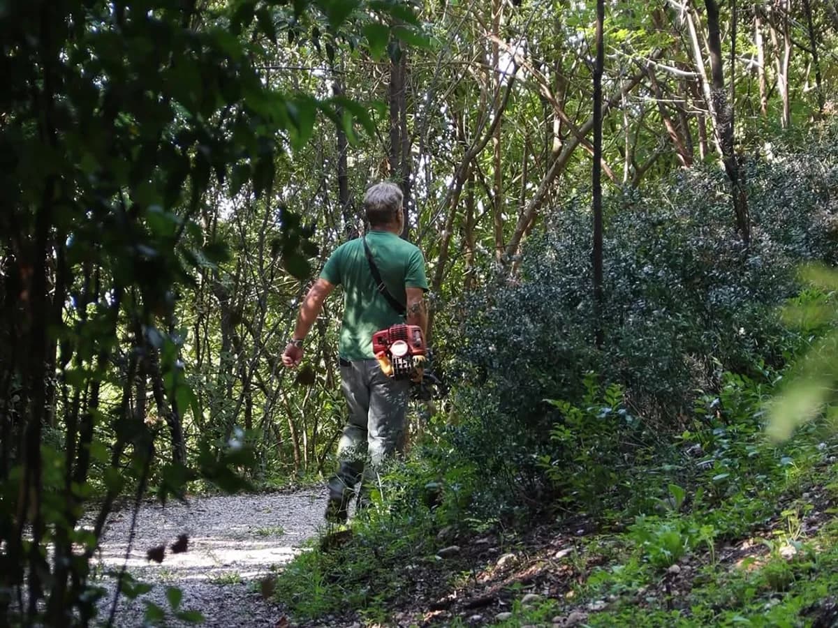 La cura quotidiana del giardino tra le fioriture del parco