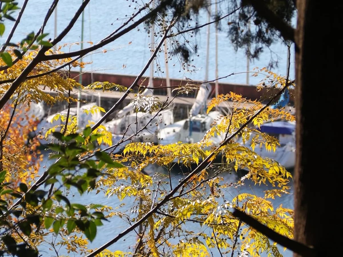 Uno scorcio del lago di Garda tra le foglie dorate del bosco